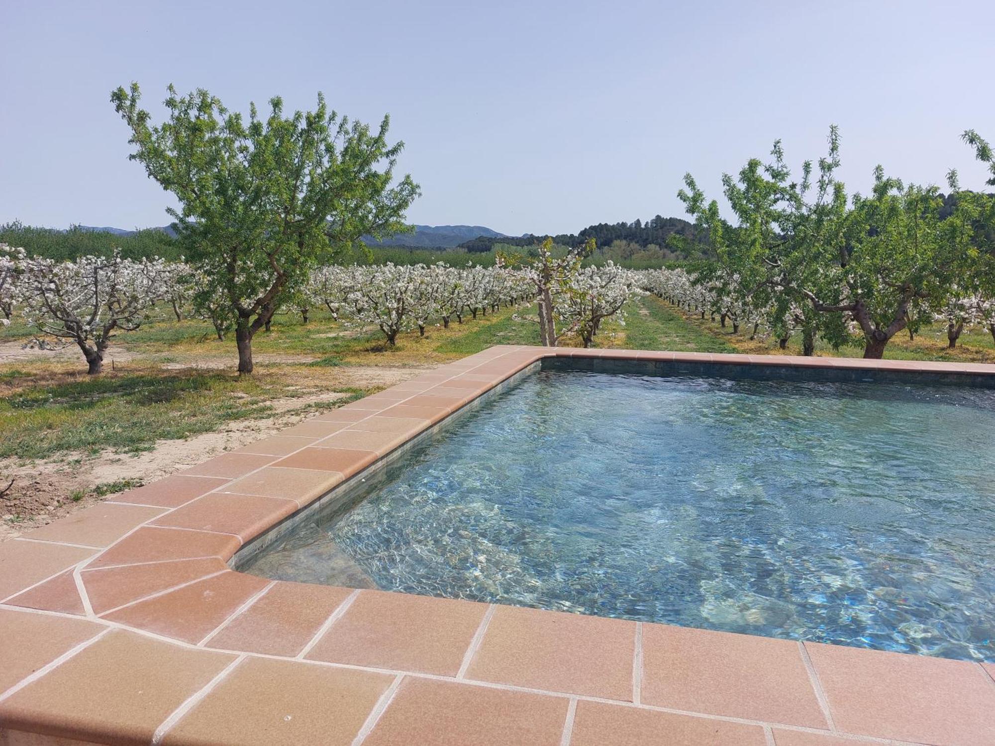 Masia Rural L'Hort De Maso Миравет Экстерьер фото