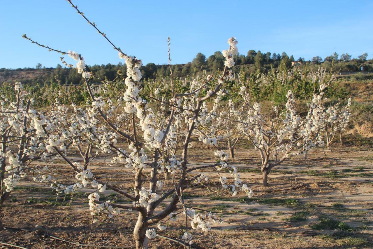 Masia Rural L'Hort De Maso Миравет Экстерьер фото